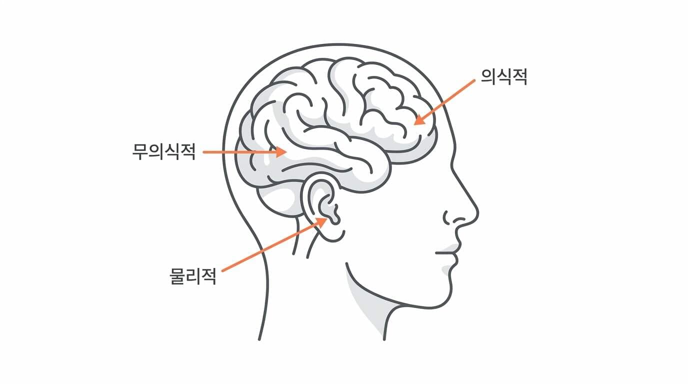 인간의 청각 처리 단계와 귀·뇌의 관계를 보여주는 도식